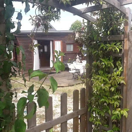 Ideal With Pool In Alpehytte